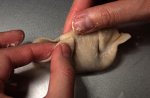 Pork and Shrimp Pot Stickers Recipe