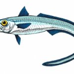 BBQ hoki kebabs by Nicola Hudson Recipe