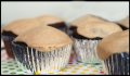 Texas Chocolate Cupcakes