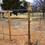 Grapevine Trellis Pictures Recipe