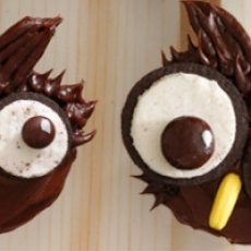 Owl Cupcakes Recipe