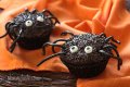 Spooky Spider Cupcakes