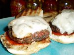 Cheese Burgers. "the Science That ...