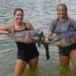 Southern Vietnamese Catfish Recipe