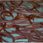 Halloween Worms Recipe