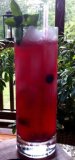 Blueberry Mint Madness Mojito