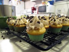 Mini Cookie Dough Cupcakes