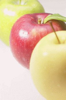 Apple Mold Recipe