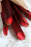 Red Wine-Poached Rhubarb Recipe