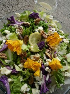 Chicory-Endive Roquefort and Walnut Salad