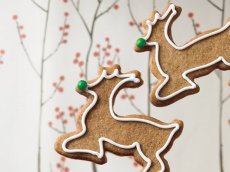 Reindeer Spice Cookies