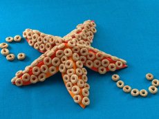 Silly Starfish